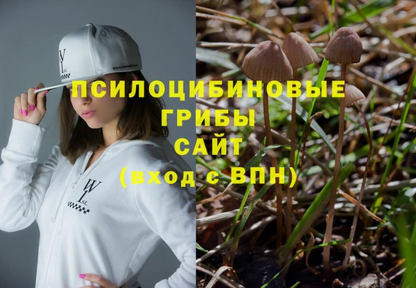 гидра Медвежьегорск