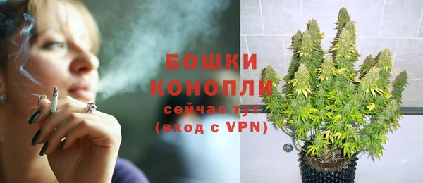 apvp Медногорск