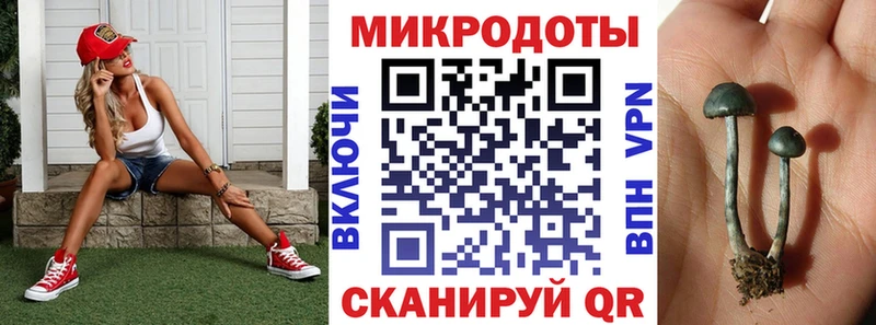 купить наркотик  Сыктывкар  Галлюциногенные грибы Psilocybine cubensis 