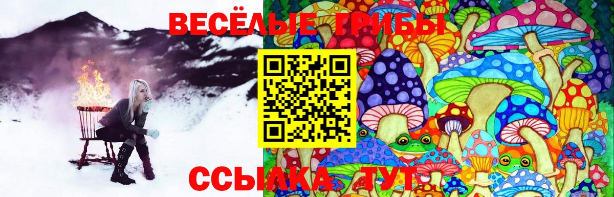 Псилоцибиновые грибы прущие грибы  Вход с VPN  Галлюциногенные грибы Cubensis  Сыктывкар 
