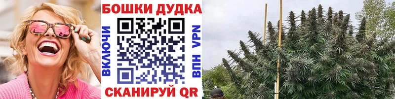 Шишки марихуана THC 21%  Сыктывкар 